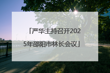 严华主持召开2025年邵阳市林长会议