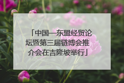 中国—东盟经贸论坛暨第三届链博会推介会在吉隆坡举行