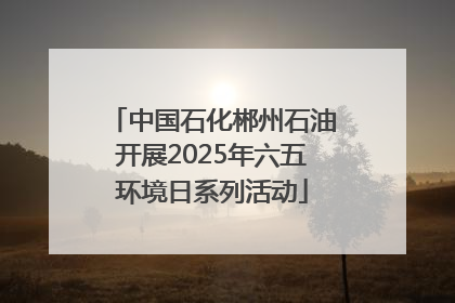 中国石化郴州石油开展2025年六五环境日系列活动