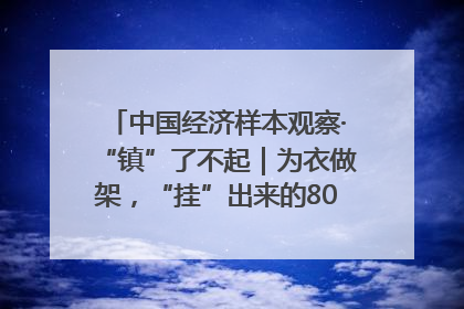 中国经济样本观察·“镇”了不起｜为衣做架，“挂”出来的80亿元“衣架产业”