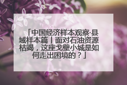 中国经济样本观察·县域样本篇丨面对石油资源枯竭，这座戈壁小城是如何走出困境的？