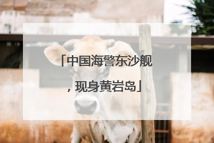 中国海警东沙舰，现身黄岩岛
