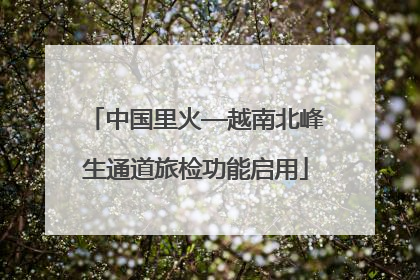 中国里火—越南北峰生通道旅检功能启用