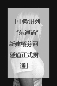 中欧班列“东通道”新建绥芬河隧道正式贯通