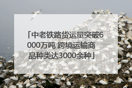 中老铁路货运量突破6000万吨 跨境运输商品种类达3000余种