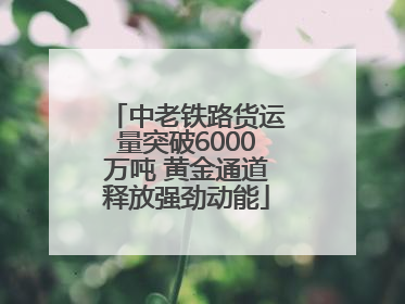 中老铁路货运量突破6000万吨 黄金通道释放强劲动能