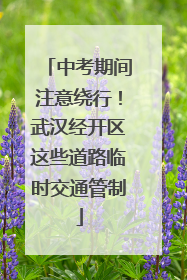 中考期间注意绕行！武汉经开区这些道路临时交通管制