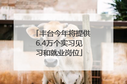 丰台今年将提供6.4万个实习见习和就业岗位