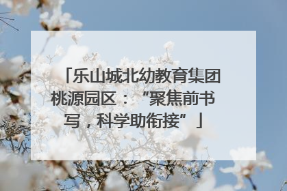 乐山城北幼教育集团桃源园区：“聚焦前书写，科学助衔接”