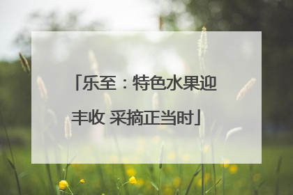 乐至：特色水果迎丰收 采摘正当时