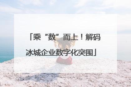 乘“数”而上！解码冰城企业数字化突围