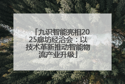 九识智能亮相2025廊坊经洽会：以技术革新推动智能物流产业升级