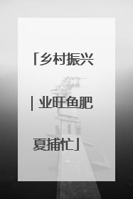 乡村振兴｜业旺鱼肥夏捕忙