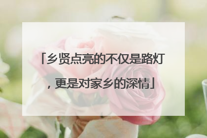 乡贤点亮的不仅是路灯，更是对家乡的深情