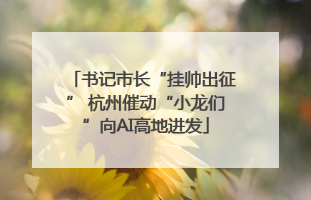 书记市长“挂帅出征” 杭州催动“小龙们”向AI高地进发