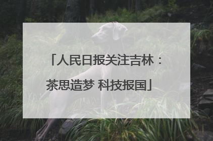 人民日报关注吉林：茶思造梦 科技报国
