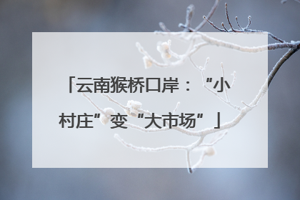 云南猴桥口岸：“小村庄”变“大市场”