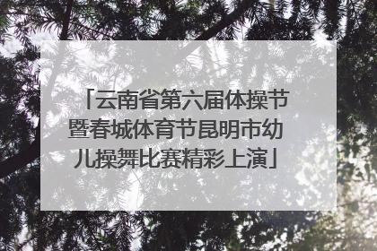 云南省第六届体操节暨春城体育节昆明市幼儿操舞比赛精彩上演