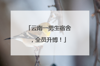 云南一男生宿舍，全员升博！