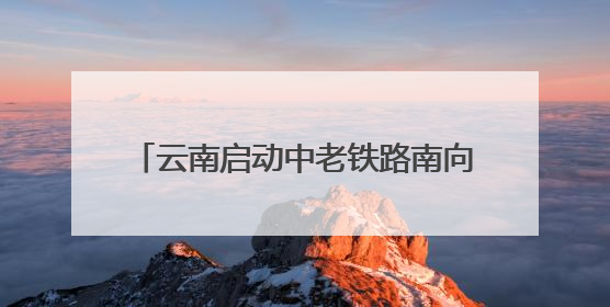 云南启动中老铁路南向常态化水产品进口开启“鲜”速贸易新征程