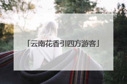 云南花香引四方游客
