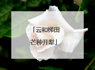 云和梯田 芒种开犁