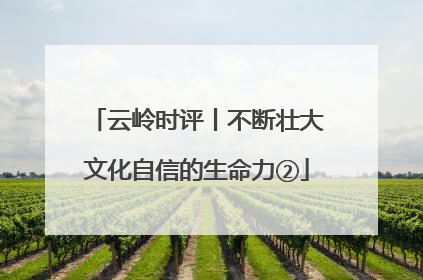 云岭时评丨不断壮大文化自信的生命力②