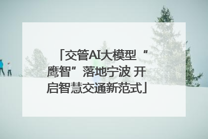 交管AI大模型“鹰智”落地宁波 开启智慧交通新范式