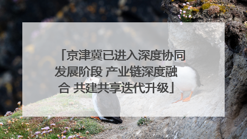 京津冀已进入深度协同发展阶段 产业链深度融合 共建共享迭代升级