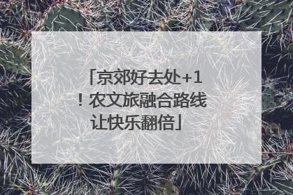 京郊好去处+1！农文旅融合路线让快乐翻倍