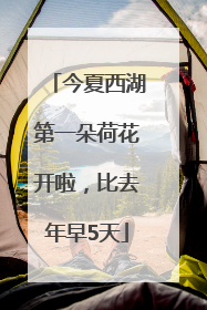 今夏西湖第一朵荷花开啦，比去年早5天