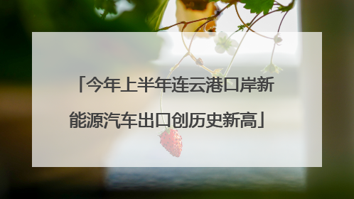 今年上半年连云港口岸新能源汽车出口创历史新高