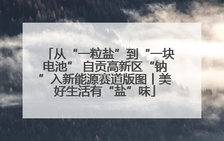 从“一粒盐”到“一块电池” 自贡高新区“钠”入新能源赛道版图丨美好生活有“盐”味