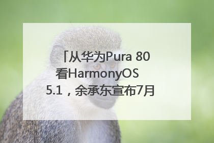 从华为Pura 80看HarmonyOS 5.1，余承东宣布7月迎来首批机型升级
