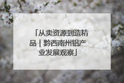 从卖资源到造精品｜黔西南州铝产业发展观察