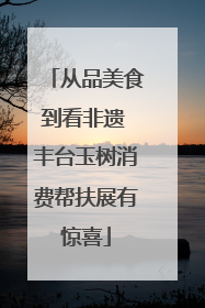从品美食到看非遗 丰台玉树消费帮扶展有惊喜