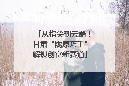 从指尖到云端！甘肃“陇原巧手”解锁创富新赛道