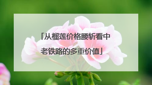 从榴莲价格腰斩看中老铁路的多重价值