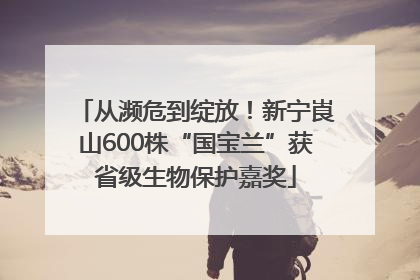 从濒危到绽放！新宁崀山600株“国宝兰”获省级生物保护嘉奖