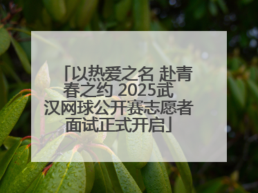 以热爱之名 赴青春之约 2025武汉网球公开赛志愿者面试正式开启
