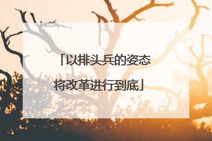 以排头兵的姿态将改革进行到底