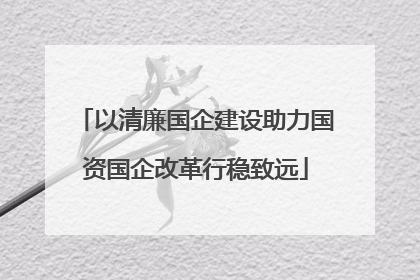 以清廉国企建设助力国资国企改革行稳致远