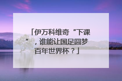 伊万科维奇“下课”，谁能让国足圆梦百年世界杯？
