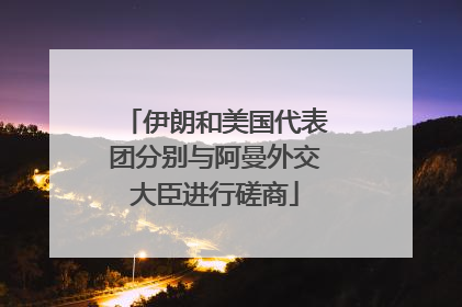 伊朗和美国代表团分别与阿曼外交大臣进行磋商