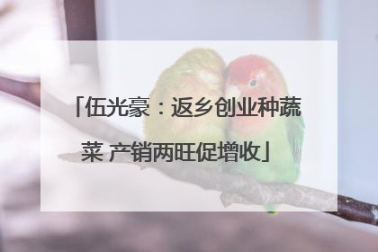 伍光豪：返乡创业种蔬菜 产销两旺促增收