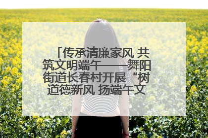 传承清廉家风 共筑文明端午——舞阳街道长春村开展“树道德新风 扬端午文化”主题活动