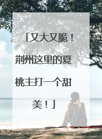 又大又脆！荆州这里的夏桃主打一个甜美！
