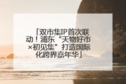 双市集IP首次联动！浦东“天物好市×初见集”打造国际化跨界嘉年华