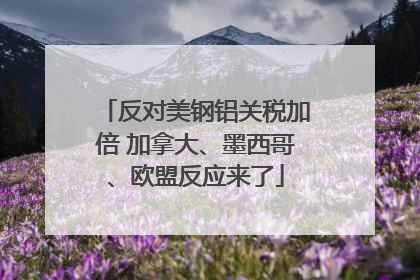 反对美钢铝关税加倍 加拿大、墨西哥、欧盟反应来了