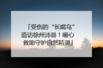 受伤的“长嘴鸟”造访徐州沛县！暖心救助守护自然精灵